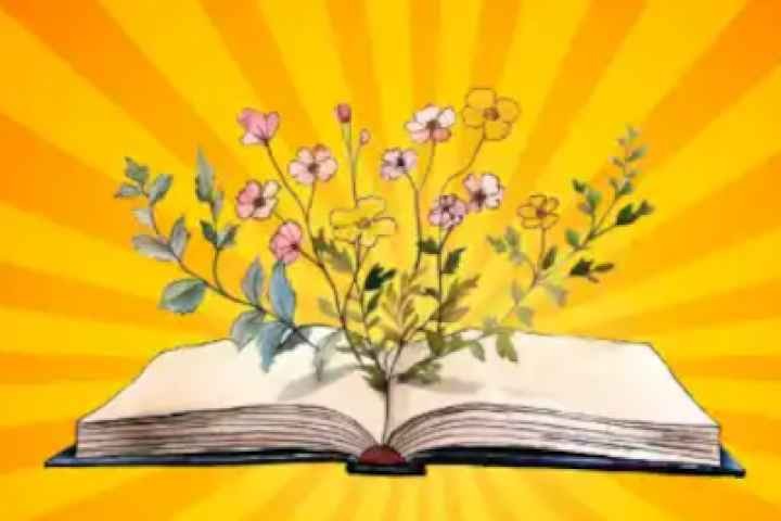 Shepparton Library - The Local Chapter