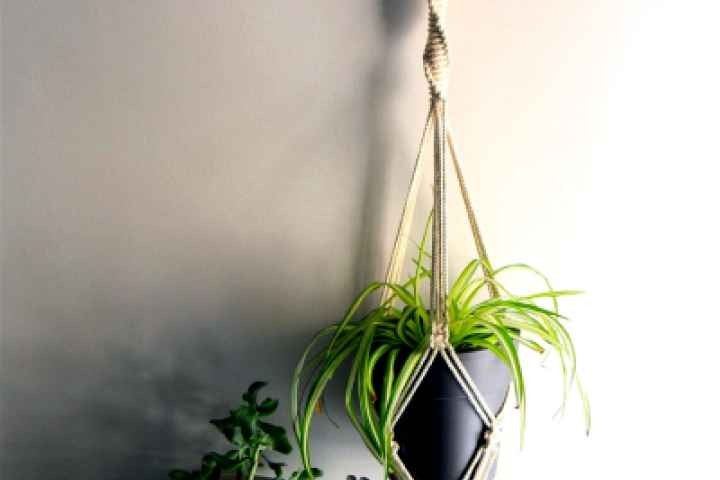 Shepparton Library - Macrame Plant Hanger