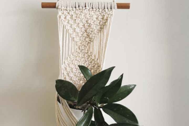 Shepparton Library - Macrame Wall Plant Hanger Workshop