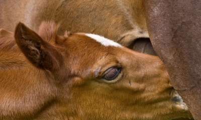 Euroa Library - First Thursday Conversations