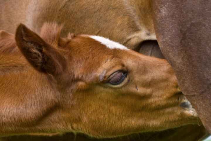 Euroa Library - First Thursday Conversations