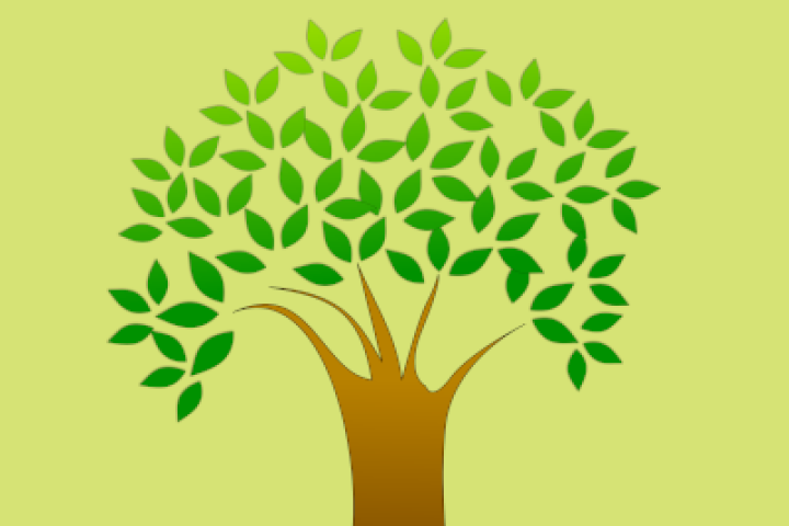 Shepparton Library - Family History Chat