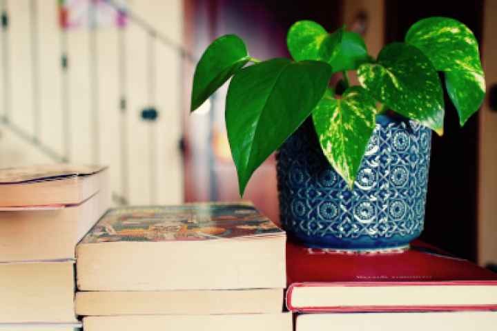 Mooroopna Library - Plant & Book Sale