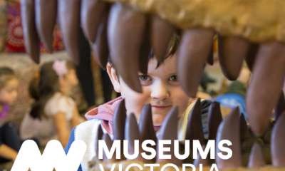 Euroa Library - Pop-up Museum Session 1
