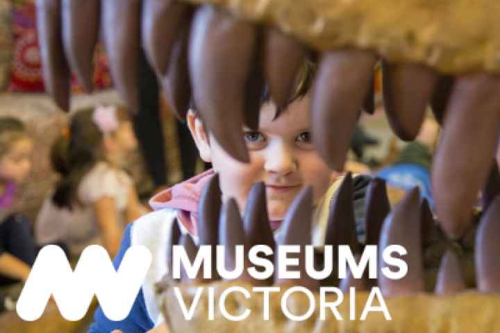Euroa Library - Pop-up Museum Session 1