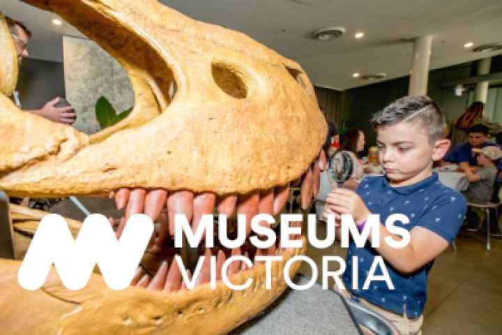 Euroa Library - Pop-up Museum Session 2