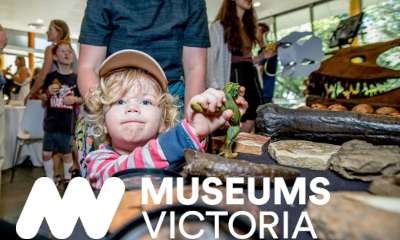 Euroa Library - Pop-up Museum Session 3