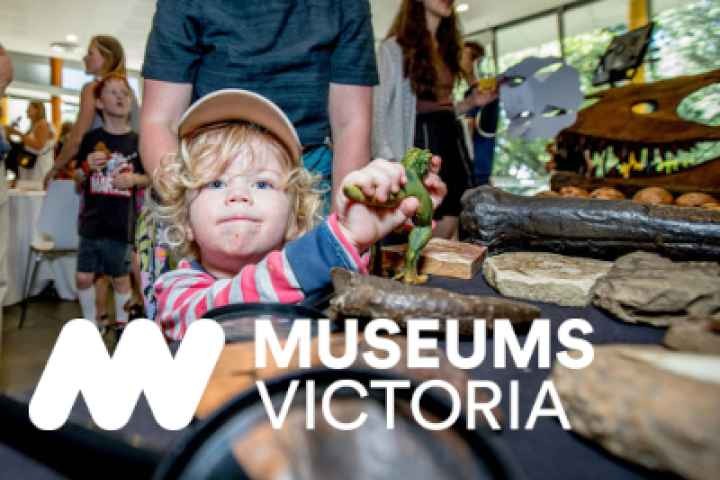 Euroa Library - Pop-up Museum Session 3