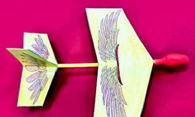 Nathalia Library - Bird Flyers (STEAM)