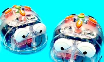 Numurkah Library - The Very Hungry Blue Bots Coding Activity