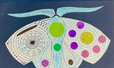 Mooroopna Library - Bogong Moth Art