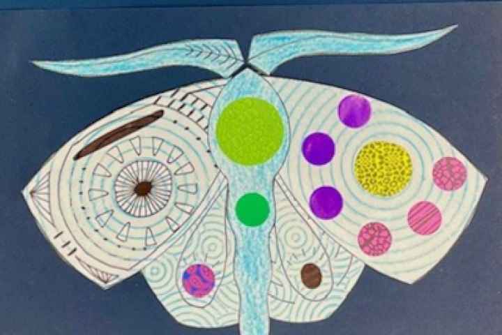 Mooroopna Library - Bogong Moth Art