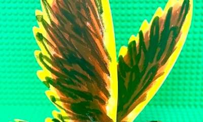 Cobram Library - Flapping Wedge Tailed Eagle STEAM Craft