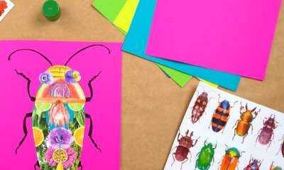 Yarrawonga Library - Nature Beetles