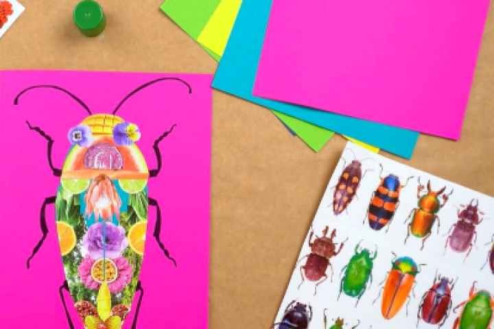 Cobram Library - Nature Beetles