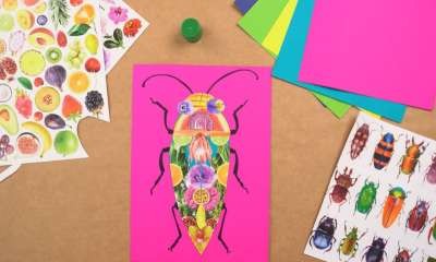 Numurkah Library - Nature Beetles