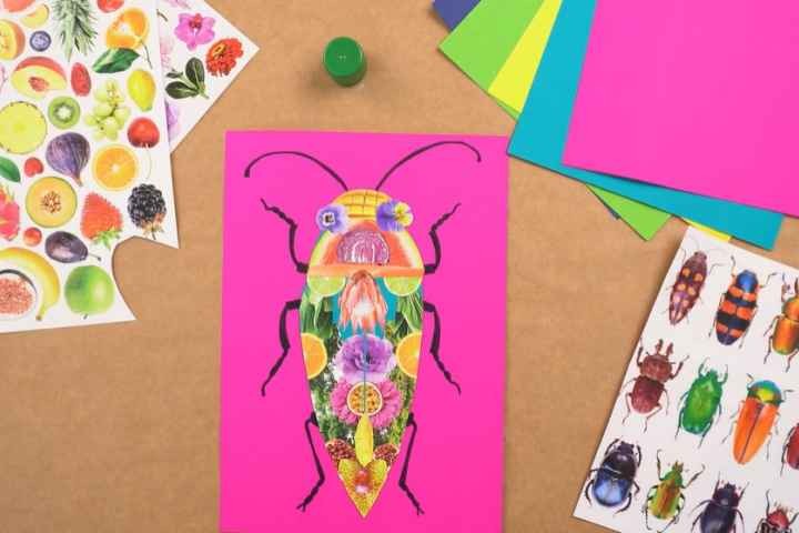 Numurkah Library - Nature Beetles