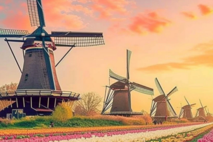 Nathalia Library - Learn about Dutch Culture